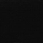 RAL 9005